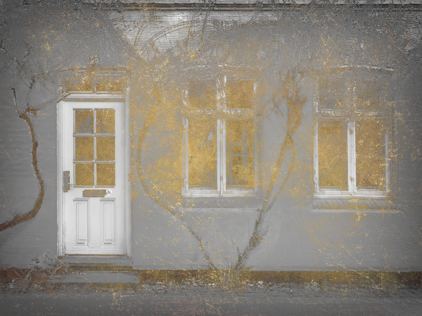 Two Windows and a Door